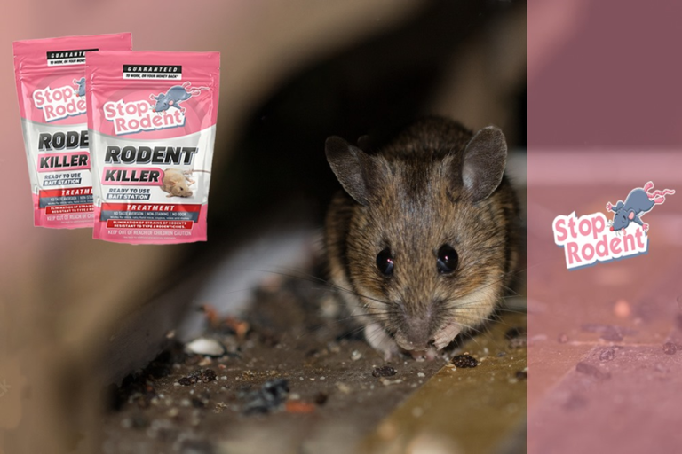 Ensure a Rat-Free Environment with the StopRodent Product.