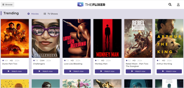 TheFlixer: Revolutionizing the Streaming Experience