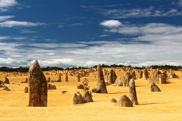 First time in Australia? Here’s how to make the most out of your vacation